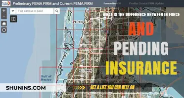Understanding Insurance: In Force vs. Pending Policies