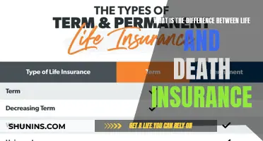 Life and Death: Understanding the Key Differences in Insurance