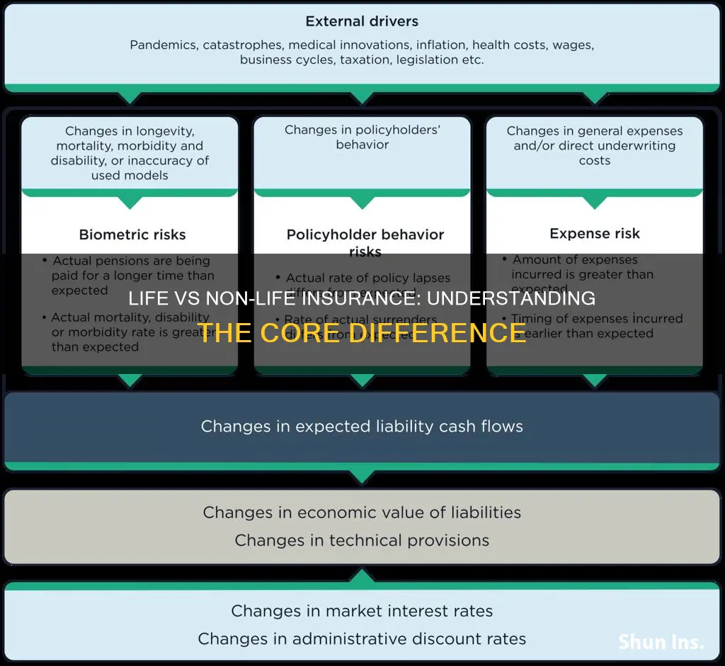 what is the difference between life and non life insurance