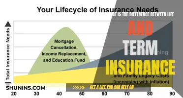 Life vs. Term Insurance: Understanding the Key Differences