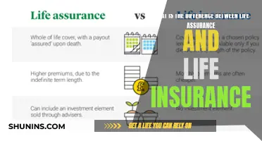 Life Assurance vs. Life Insurance: Understanding the Key Differences