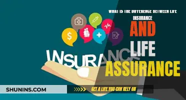 Life Insurance vs Assurance: What's the Real Difference?