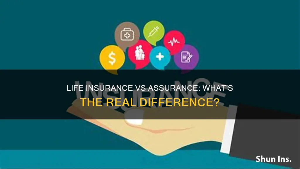 what is the difference between life insurance and life assurance