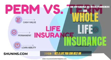 Understanding the Key Differences: Permanent vs. Whole Life Insurance