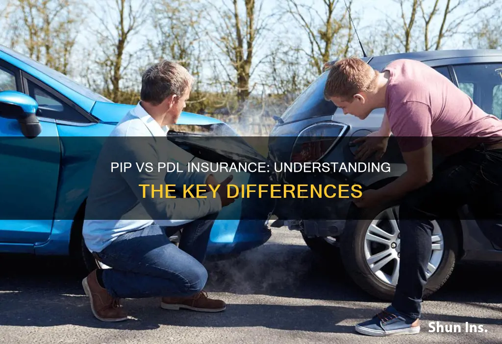 what is the difference between pip and pdl insurance
