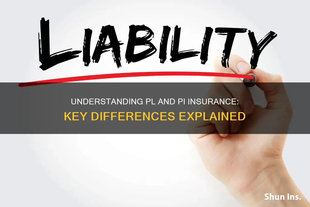 what is the difference between pl and pi insurance