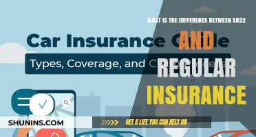 Understanding SR22: Special Insurance Requirements Explained