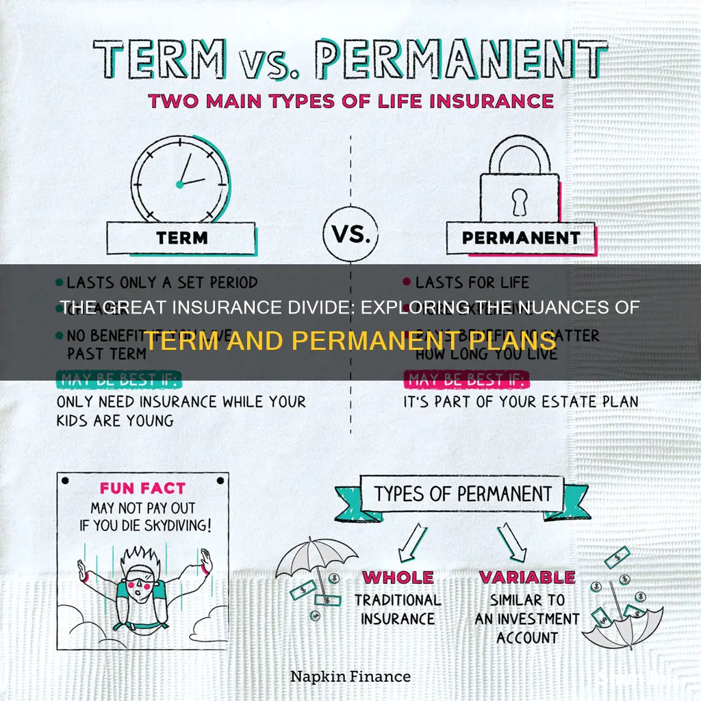 what is the difference between term and permanent insurance