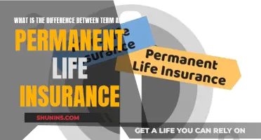 Term vs Permanent Life Insurance: What's the Difference?