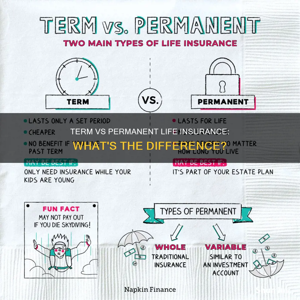 what is the difference between term and permanent life insurance