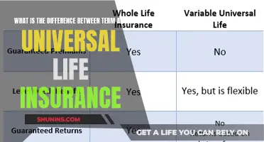 Term vs Universal Life Insurance: Key Differences Explained