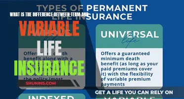 Term vs. Variable: Understanding Life Insurance Differences