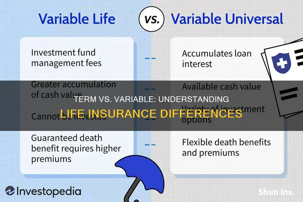 what is the difference between term and variable life insurance