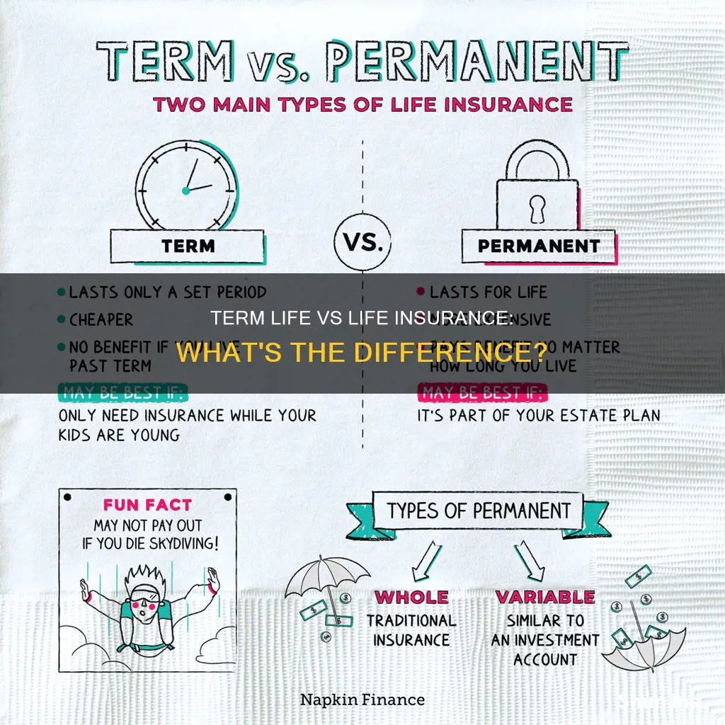 what is the difference between term life and life insurance