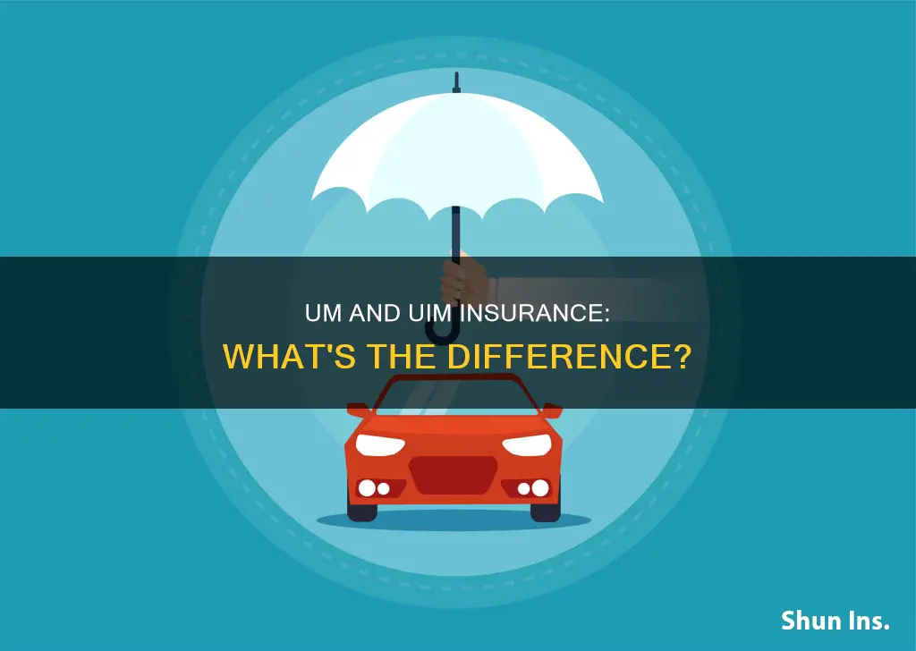 what is the difference between um and uim insurance