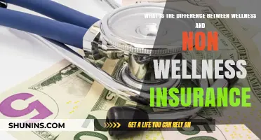 Wellness Insurance: Benefits and Drawbacks Explained