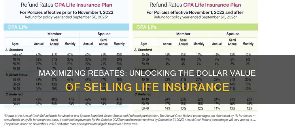 what is the dollar amount for rebates selling life insurance