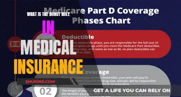 Unraveling the Mystery: What's the Donut Hole in Health Insurance?