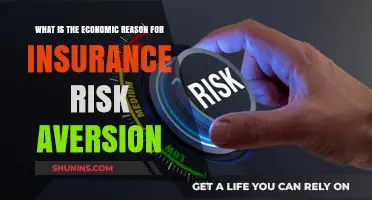 Understanding Insurance Risk Aversion Economics