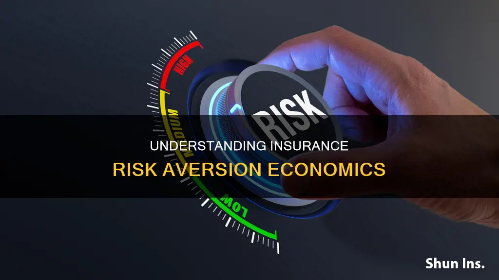 what is the economic reason for insurance risk aversion
