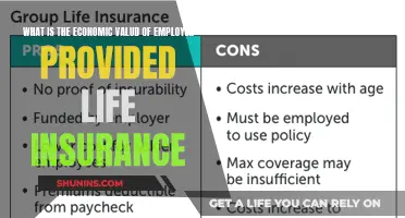 Maximizing Employee Value: The Economic Benefits of Employer-Provided Life Insurance