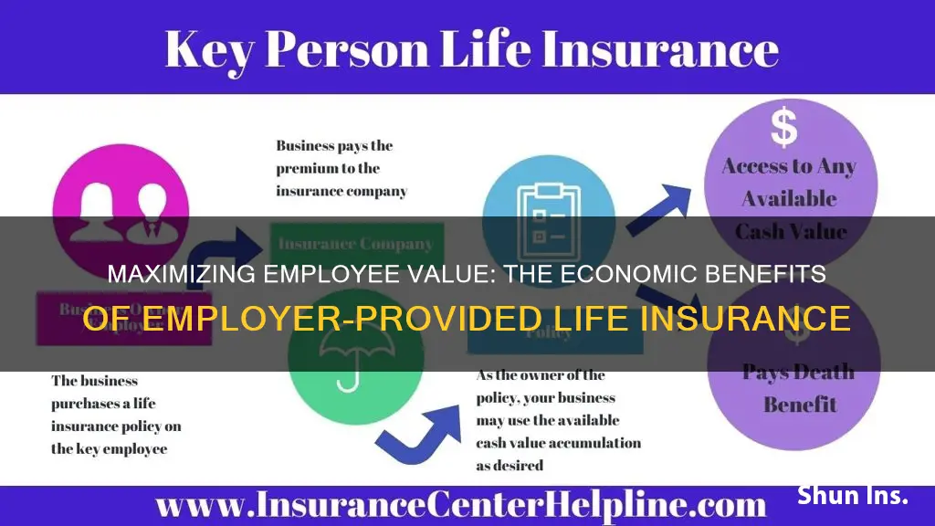 what is the economic valud of employer provided life insurance