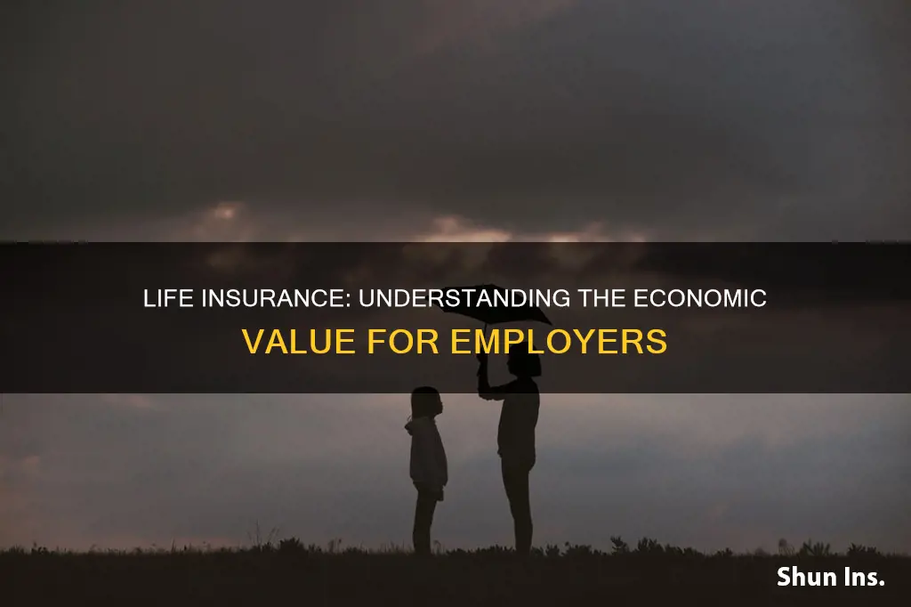 what is the economic valud of employer provided life insurance
