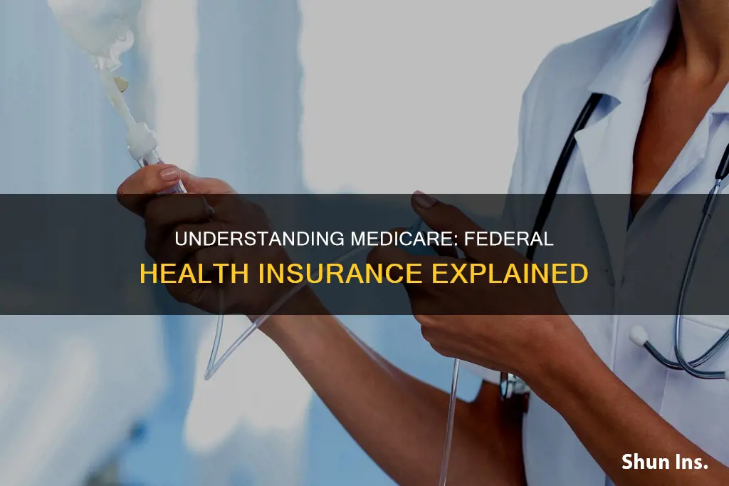 what is the federal government