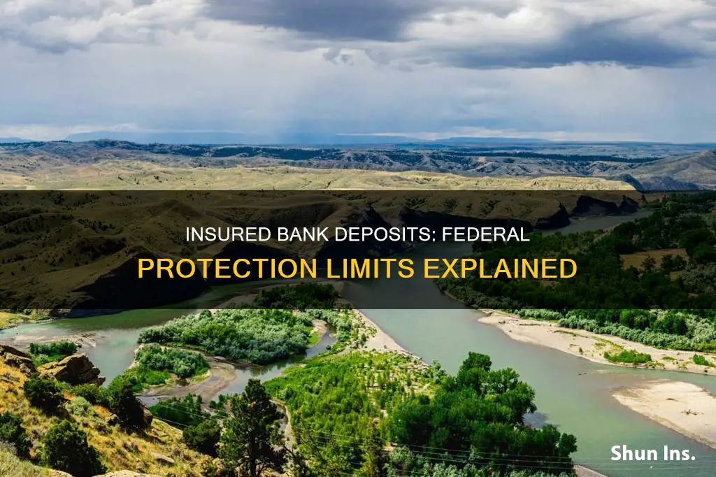 what is the federal insured amount for bank deposits