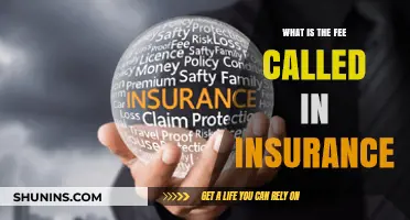 Understanding Insurance Fees: What's the Cost?