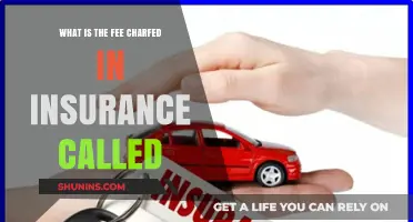 Understanding Insurance Premiums: What You Need to Know