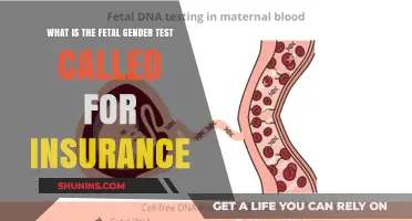 Fetal Gender Test Insurance Coverage: What You Need to Know