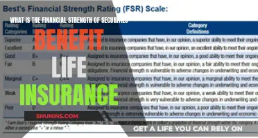 Securities-Backed Life Insurance: Unlocking Financial Strength and Security