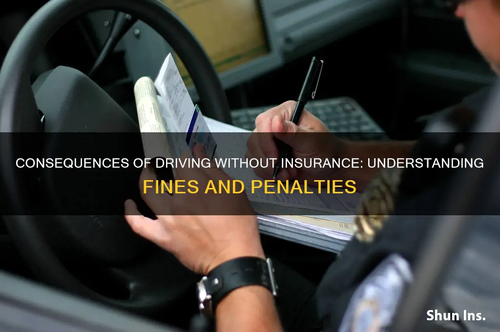 what is the fine for not having insurance