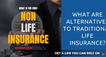 Unveiling the First Non-Life Insurance: A Revolutionary Concept