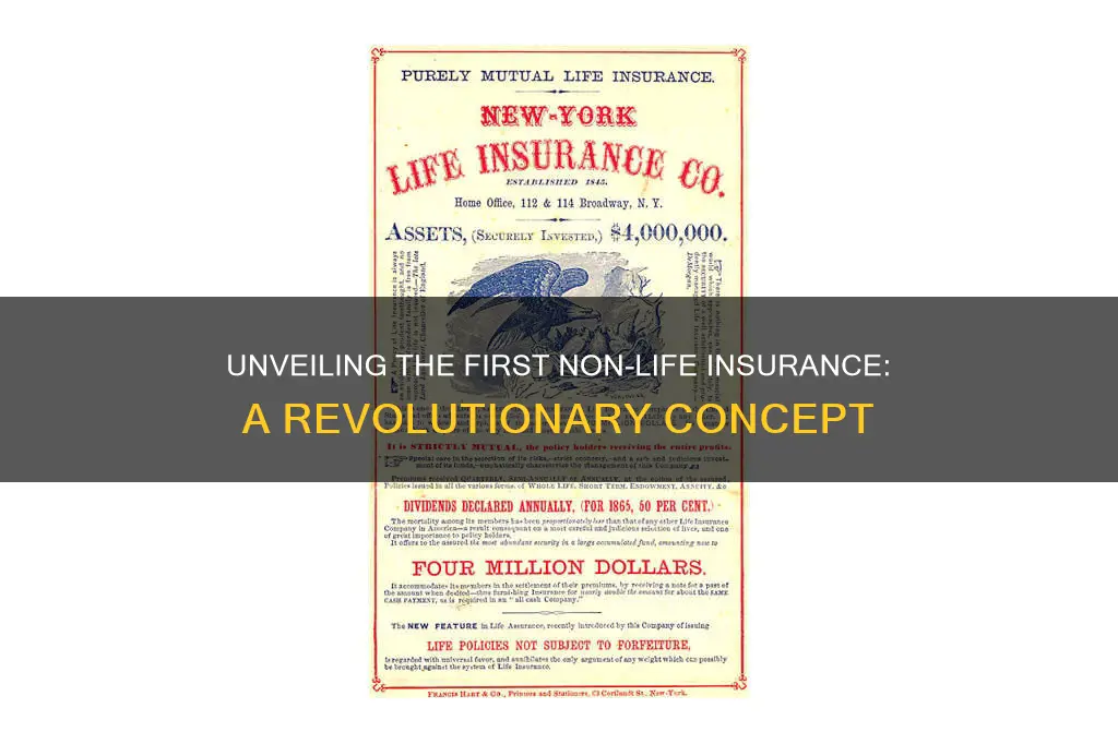 what is the first non life insurance