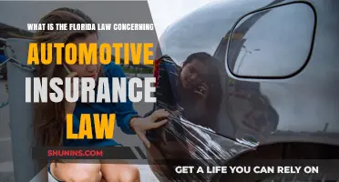 Florida Auto Insurance Law: What You Need to Know