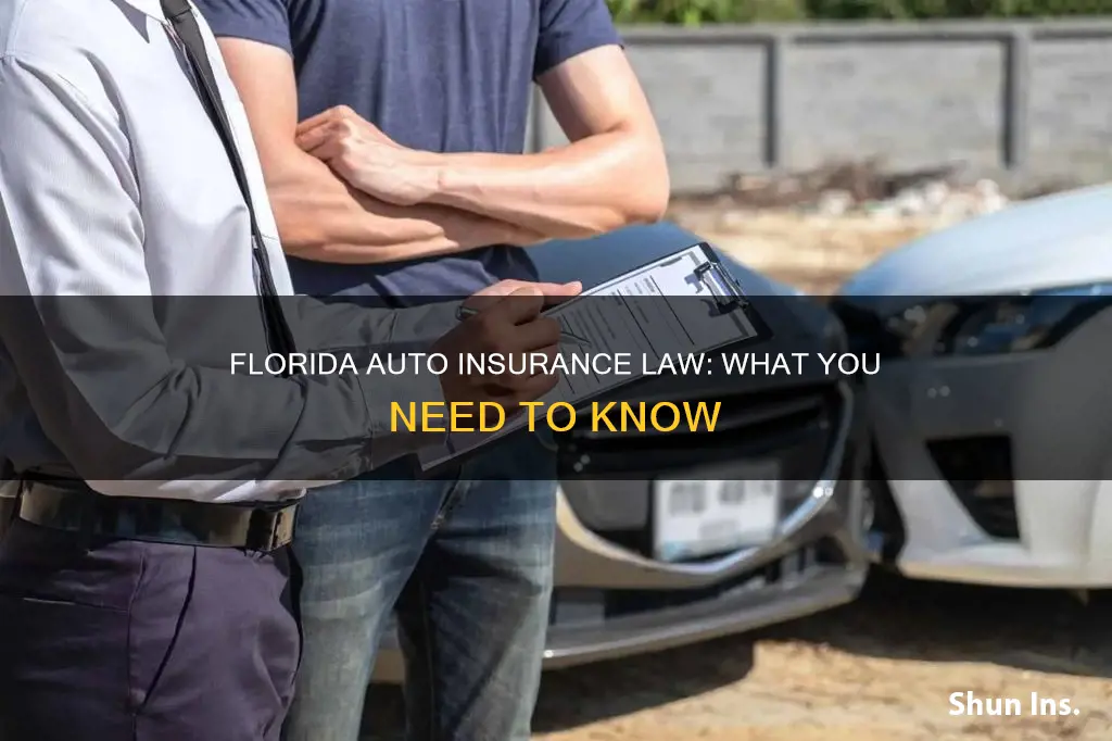 what is the florida law concerning automotive insurance law