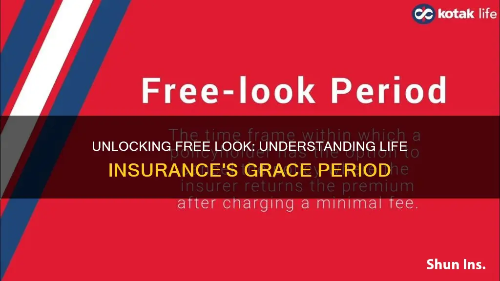 what is the free look period for life insurance