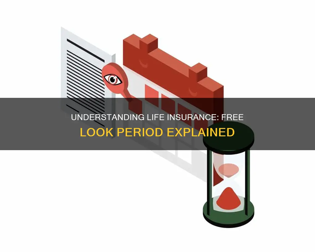 what is the free look period for life insurance