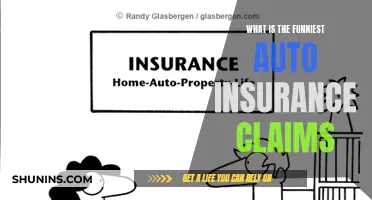 Strange but True: Hilarious Auto Insurance Claims