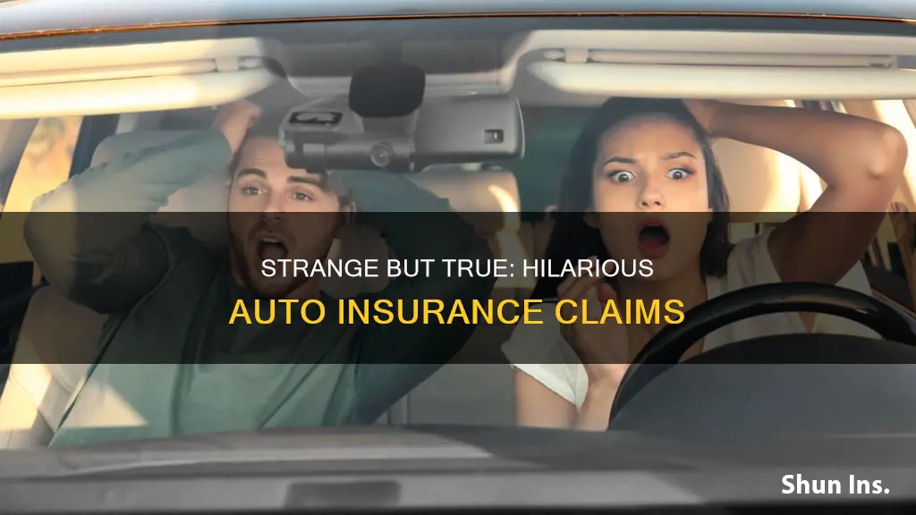 what is the funniest auto insurance claims