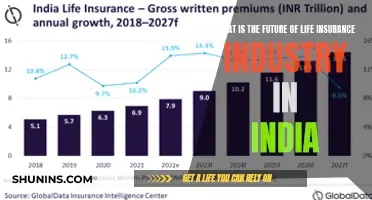 Life Insurance Evolution: India's Future-Proofing Financial Security