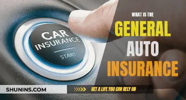 Auto Insurance Basics: What Every Driver Should Know