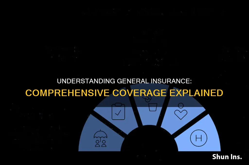 what is the general insurance