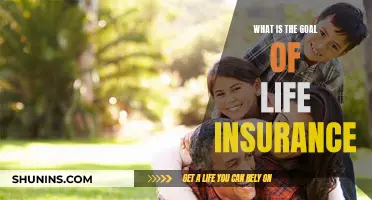 Understanding Life Insurance: Securing Your Future and Legacy