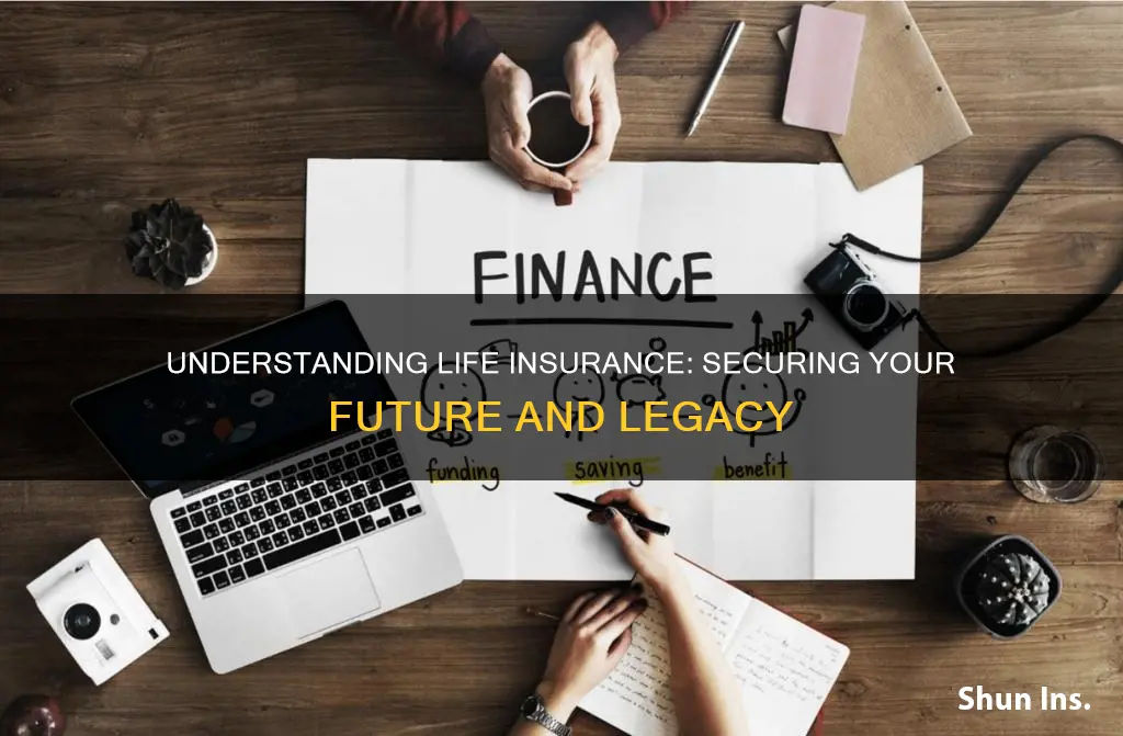 what is the goal of life insurance