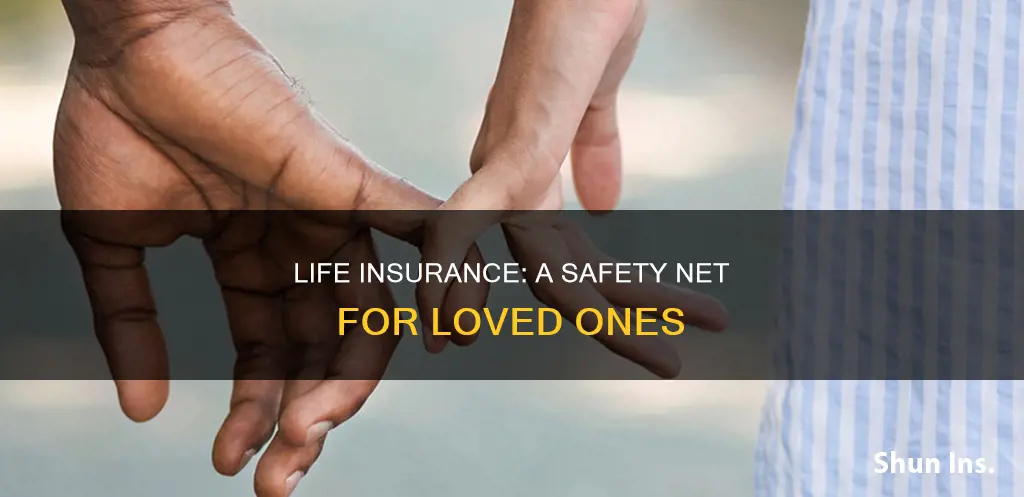 what is the goal of life insurance