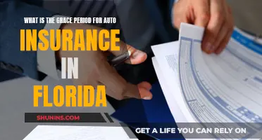 Understanding Florida's Auto Insurance Grace Period