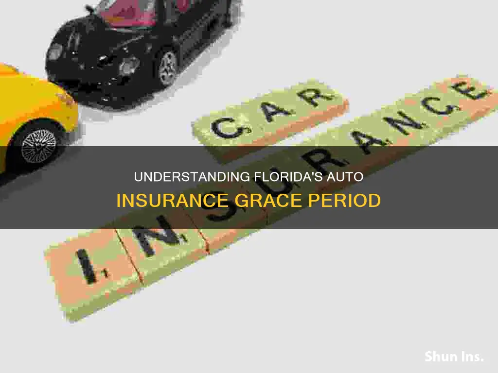 what is the grace period for auto insurance in Florida